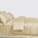 Champagne 3 PCS 22 Momme Mulberry Silk Duvet Cover Set Champagne 3 PCS 22 Momme Mulberry Silk Duvet Cover Set