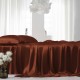 Rust Red 22 Momme Mulberry Silk Sheet Set Rust Red 22 Momme Mulberry Silk Sheet Set