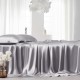 Silver 22 Momme Mulberry Silk Flat Sheet Silver 22 Momme Mulberry Silk Flat Sheet